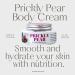 Nature Skin Shop Prickly Pear Body Cream Anti-Aging & Firming Body Butter with Shea Butter for Dry Crepey Skin Vitamin K to Even Tone & Restore Glow - Buy Online on GoSupps.com