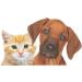 Premium Salmon & Linseed Oil for Dogs & Cats | 1L Omega-3 & Omega-6 BARF Oil Supplement - Buy Online on GoSupps.com