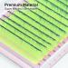 NAGARAKU Easy Fan Volume Eyelash Extensions Ombre Green Blue Color 0.07 C Curl Mix Tray 9-15mm - Buy Online on GoSupps.com