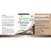 Fairvital | Oyster mushroom extract 500mg VEGAN - Highly dosed - 90 capsules - mushroom extract standardized to polysaccharides 30% - Buy Online on GoSupps.com