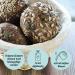 Organic Low-Carb Workout Bread Alternative 10 Pack | Vegan Gluten-Free High Fiber Bio | 350g Each - Buy Online on GoSupps.com