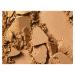 Buy MAC Cosmetics Studio Fix Powder Plus Foundation NC55 - 0.52 oz (Pack of 1) | International Shipping Available - Buy Online on GoSupps.com