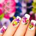Xiton Nail Tips - 500pc Full Cover Artificial Nails for DIY Nail Art & Acrylic Manicure | Perfect for Nail Studios - Buy Online on GoSupps.com