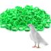 Andiker 100 pieces Pigeon Rings 8 mm Bird Leg with plastic rings identification rings for birds parrots pigeons quail and young birds (green)