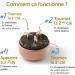 Morph e Box de M ditation et Sophrologie - Endormissement Facile et Sommeil Profond | Trouvez la Paix Int rieure (Noir Diam tre 9cm) - Buy Online on GoSupps.com