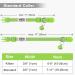 Tagme Reflective Cat Collar 2-Pack | Custom Name & Address Shield for Cats & Puppies | Safety Lock & Bell | Green 18-28 cm - Buy Online on GoSupps.com