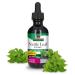 Nature's Answer Nettle Leaf with Organic Alcohol 2-Fluid Ounces | Herbal Supplement | Promotes Immune Heath | Non-GMO Kosher Gluten-Free
