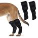 LUSIAINA Dog Front Leg Brace Pair Extra Supportive Canine Rear Hock Brace for Wound Stability Sprains Injury Helps Arthritis (L)