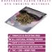 Honeyrose Earth Impact Herbal Mixture - Tobacco & Nicotine Free - Buy Online on GoSupps.com