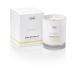 Luxury Scented Candles Gifts for Women | Natural Wax Blend | 45 Hours Burn time | Hotel Collection | The Copenhagen Company - Grapefruit (7oz) 7oz Grapefruit 7oz