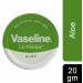  Kingdom Supplies Vaseline Lip Therapy Lip Balm - 20g - Cocoa Butter Aloe Rosy Lips and Original Flavor - Soothes Dry Lips (Pack of 4) - Buy Online on GoSupps.com