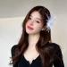 4 Pcs Ostrich Feather Hair Clips - Vintage Elegant Luxury Headpiece for Women (Black+White) - Buy Online on GoSupps.com