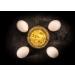 Whole Egg Powder 1kg | Spray Dried Eggs | Buxtrade | High Quality Egg Powder for Cooking & Baking - Buy Online on GoSupps.com