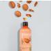 Color Care Conditioner with Chandler Walnut | Vegan | 96% Natural | 12.51 fl oz | Best for Color-Treated Hair - International Shipping Available - Buy Online on GoSupps.com