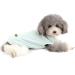 Zunea Dog Shirt for Small Dogs & Cats | Striped Summer Tank Top in Green | Soft Cotton Vest for Puppies | XL Size Clothing - Buy Online on GoSupps.com