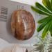 Specimen Natural Wood Palm Stone Crystal MeditationEnergy Home Decoration Collection As GiftStone Full of Texture - Buy Online on GoSupps.com