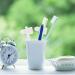 Gleavi 24 StK Double-Headed Toothbrush - Best Hard Toothbrush for Adults | Travel Holder for False Teeth & Prosthetic Cleaning | Word of Mouth Recommended - Buy Online on GoSupps.com