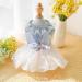 BT Bear Small Dog Clear Tutu Princess Dress - Light Blue XS for Puppies & Cats - Perfect for Weddings & Special Occasions - Buy Online on GoSupps.com