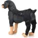 Dog Knee Brace Dog Joint Brace Knee Support with 4 Safety Straps Dog Rear Leg Hock Brace for Luxating Patella Torn Acl Torn Acl Hind Leg Arthritis Prevents Injuries Sprains Help (Size : M) Medium - Buy Online on GoSupps.com