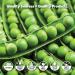 True Nutrition Pea Protein Isolate - 25g Vegan Protein Powder - Non-GMO, Gluten-Free, Dairy-Free - 1LB Pack - Buy Online on GoSupps.com