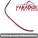 Paradox Fishing Floats Set | 5 Pieces (1.5g-5g) | Glow Stick Fishing Floats for Enhanced Night Fishing - Buy Online on GoSupps.com