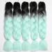 Showjarlly Jumbo Braid Artificial Hair - Ombre 24 Inch Kanekalon Braid Extensions 5 Pack for Crochet Twist & Box Braid - Black/Light Green (61cm) - Buy Online on GoSupps.com
