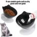 Elevated Cat Food Bowls - Raised Pet Feeder and Waterer | 15 Tilted Bowls for Cats, Dogs, and More | Anti Vomiting Design | Cute Cat Face Bowl - Buy Online on GoSupps.com