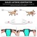 POPOT No Pull Dog Harness - Reflective Pet Vest for Daily Training & Walking | Mint Blue Size S - Buy Online on GoSupps.com