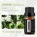 Jasmine Essential Oil - 10ml by GREENSLEEVES | Pure & Natural - Buy Online on GoSupps.com