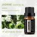 GREENSLEEVES Jasmine Essential Oil, 10ml Pure Plant-Based Fragrance Oil for Aromatherapy, Essential Oils for Diffuser, Air Freshener, Massage, Bath Bomb, Scented Candle Soap Making - Buy Online on GoSupps.com