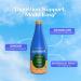 Sunwink Detox Ginger Sparkling Tonic 12 Pack | Organic Non-Alcoholic Drink for Relaxation & Digestion | Plant-Based Ingredients | 12 oz - Buy Online on GoSupps.com
