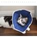 ASOCEA Adjustable Soft Pet Cone Collar for Dogs & Cats | Anti-Bite Healing Care | Small Size (4.3 inch / 11 cm) - International Shipping Available - Buy Online on GoSupps.com