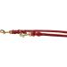 Buy Dogeleine 5m Fat Leather Brass Leash for Small & Large Dogs | Adjustable Double Linen | Durable 8mm Red Dog Leash - Buy Online on GoSupps.com