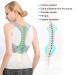 Restokki Adult Posture Corrector Brace - Hunchback Correction & Back Support Belt (L) | International Shipping Available - Buy Online on GoSupps.com