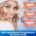 Teeth Whitening Strips Tooth Whitening Kits at Home Teeth whitening Strips Sensitive Teeth Whitening Strips Teeth Whitener 14 Packs 28 Pcs Shiny White - Buy Online on GoSupps.com