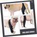 Sosoport Dog Leg Knee Supplies Dog Injured Leg Cover Dog Acl Brace Paw The Dog Large Dog Mesh Fabric L As Shown - Buy Online on GoSupps.com