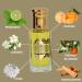 INTENSE OUD Bloom Perfume Oil 12ML (0.40 OZ) With Black Gift Box Citrusy Florals With Warm Musk & Sandalwood For An Elegant Finish. - Buy Online on GoSupps.com