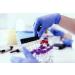 Shop Alcohol Test Strips (11 Tests) - Reliable Urine Drug Testing Kits for Accurate Results - Buy Online on GoSupps.com