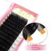 Individual Eyelashes Eyelash Extensions 1:1 Thickness 0.03 to 0.20 Black D Curl 16mm - Buy Online on GoSupps.com