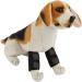 HEEPDD Dog Front Leg Compression Braces Front Leg Braces for Dogs(Black S 12) - Buy Online on GoSupps.com