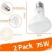 Repti Home 75W Reptile Heating Lamp - 2 Pack | Ideal for Turtles Lizards Snakes & Amphibians - Perfect Terrarium Heat Source - Buy Online on GoSupps.com
