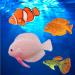 Buy Numama Artificial Fish for Aquarium | Colorful 4pcs Decorative Ornaments for Fish Tanks - Buy Online on GoSupps.com