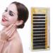 Shop Premium Mixed Black False Eyelashes & Eyebrow Extensions | 5-8mm Individual Enhancers for Perfect Look | Fast Worldwide Shipping - Buy Online on GoSupps.com