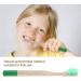 Jerliflyer 10 Pack Kids Bamboo Toothbrush - Eco-Friendly Soft Bristles Wooden Handle 6 Colors Available - Buy Online on GoSupps.com