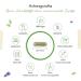 Ashwagandha Capsules 180 - 750mg Pure Extract 10% Withanolides Vegan High Purity Lab Tested - Premium Quality - Buy Online on GoSupps.com