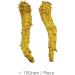 Vigorwell Premium 4-Year Jumbo Long American Ginseng (170G/6OZ)-Proudly from Canadian Ginseng Farm - Buy Online on GoSupps.com