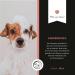 Annimally Anti Tick & Flea Dog Shampoo - Neem Extract Formula for Ticks Fleas & Mites (500ml) - Buy Internationally - Buy Online on GoSupps.com