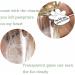 Pet Hair Memorial Bottle Glass Vial For Ashes Or Hair Dog Or Cat Keepsake Pet Loss Gift (Bottle) - Buy Online on GoSupps.com