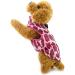 Shop Smalllee Lucky Store Waterproof Dog Jacket & Coat for Small Dogs & Cats - Magenta Winter Wear for Chihuahua Shih Tzu Mini Size (Chest: 36cm Back: 27cm) - International Shipping Available - Buy Online on GoSupps.com