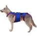Dog Spine Support- Dog Hip Support Brace Dog Rehabilitation Clothing | Spine Support Clothing Waist Protection Auxiliary Belt Reflective Strips Dog Back Brace for Dogs Back (26x48 Cm) - Buy Online on GoSupps.com